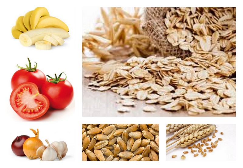 PREBIÓTICOS – Saiba mais!!